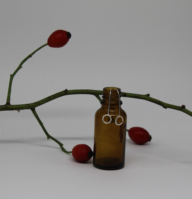 Sterling silver circle pull through earrings