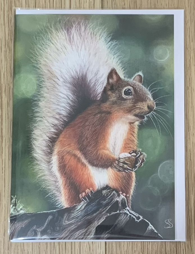 Greetings Card - Red Squirrel - Blank Inside