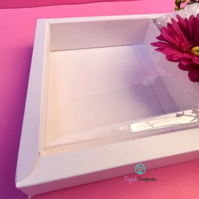 Box 28x20x5 con 2 divisiones