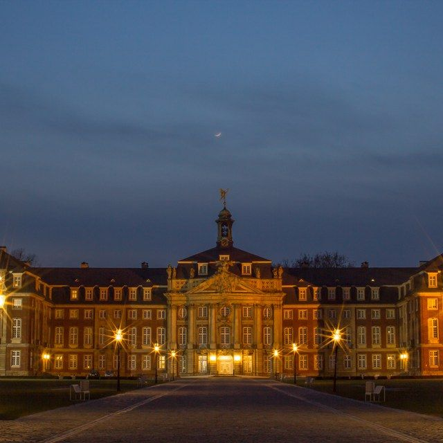 Schloss in Sepia