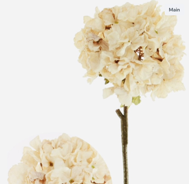 Dried Touch Ruffled Hydrangea 52cm