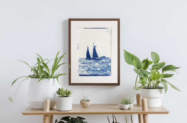 Cyanotype A4 : Sinagot "29026" N°4