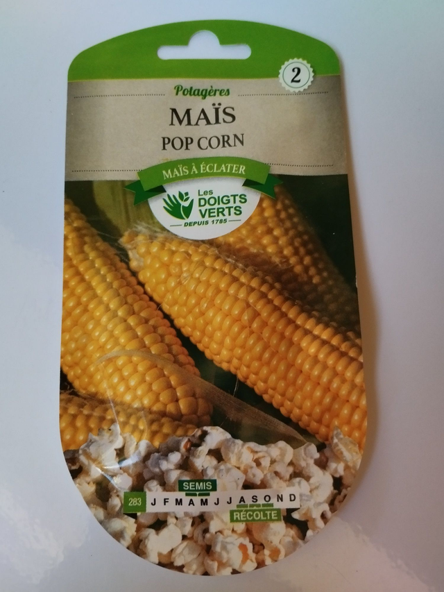 Maïs pop corn