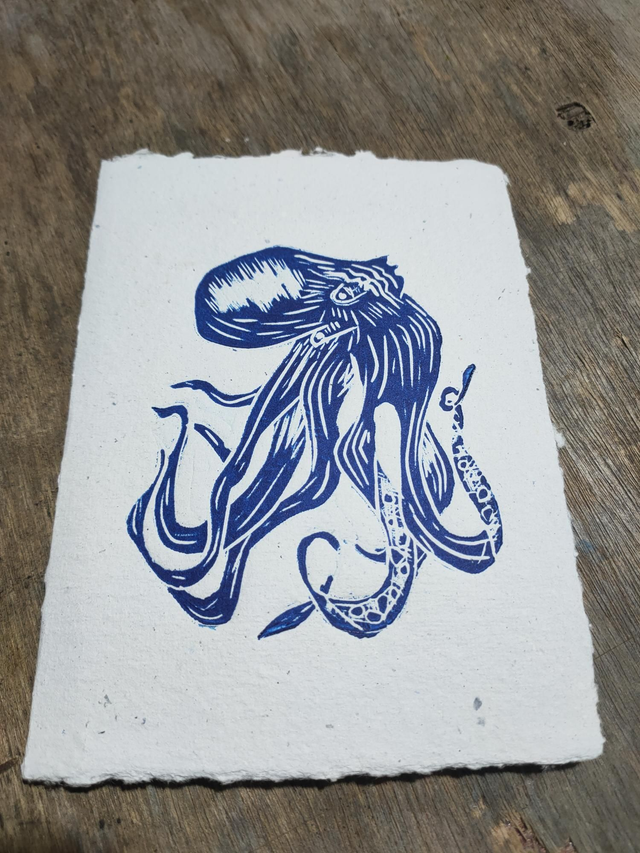 Octo