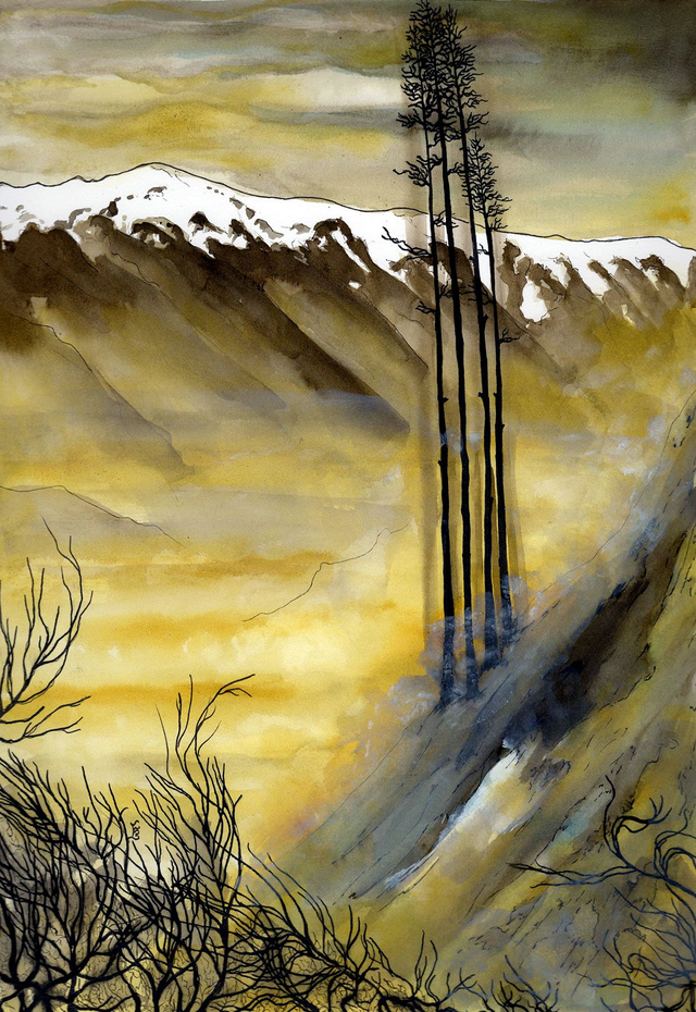 Arbres dans la brume