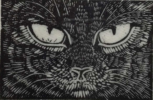 SP51 Tabby (vi) 4/30 by Shelagh Popham, 2 inches x 1 1/4inches Wood Engraving