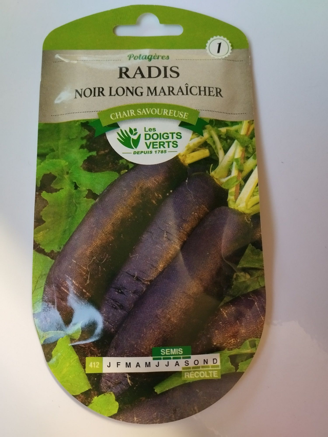 Radis Noir long maraicher