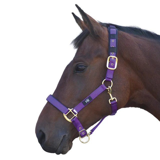 HY Deluxe Padded Head Collar PURPLE