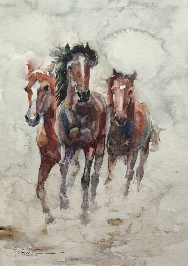 Konie, 40x30 (30x20 w świetle passe-partout) akwarela