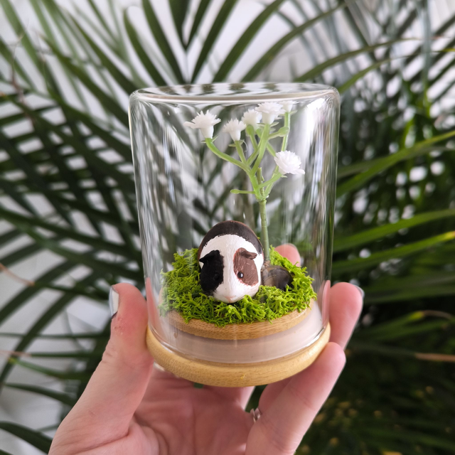 Ami protecteur - Cochon d'inde tricolore (oeil de tigre)