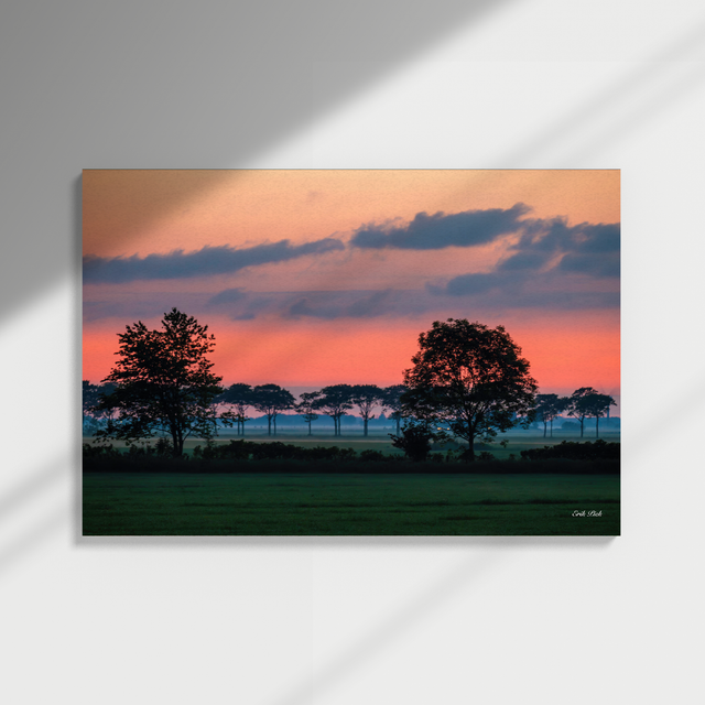 Dibond print - Zonsondergang Oranje