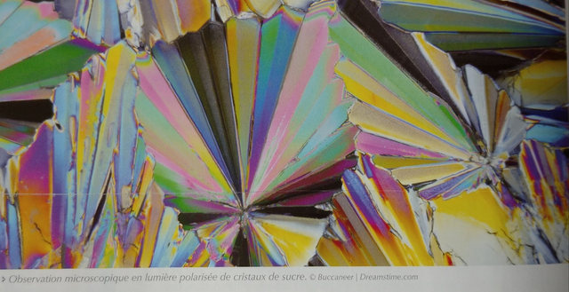 SOINS: Luminothérapie SUR RDV - Soutenir son corps et sa vitalité par les ondes lumineuses