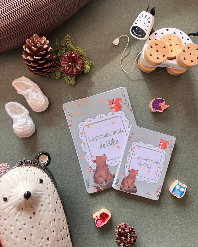 Cartes étapes de la Forêt - Mes 12 premiers mois