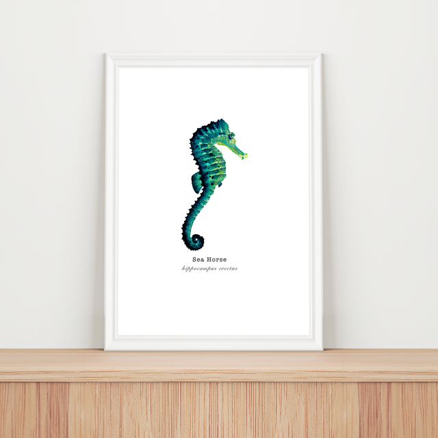 'Sea Horse' A4 Fine Art Print
