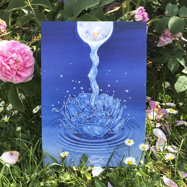 Rose Eau A5