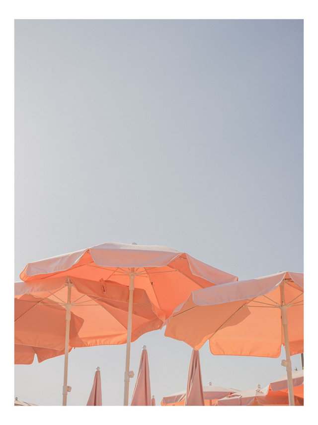 Parasols roses