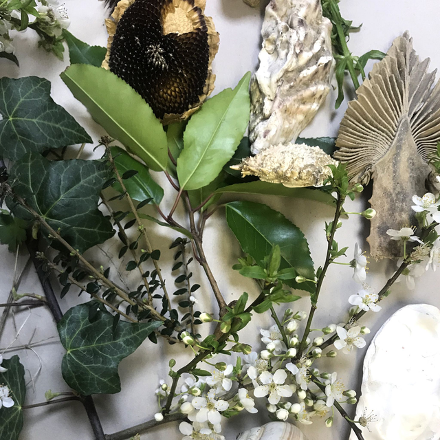 Tuesday Drawing Class - Pushing Boundaries