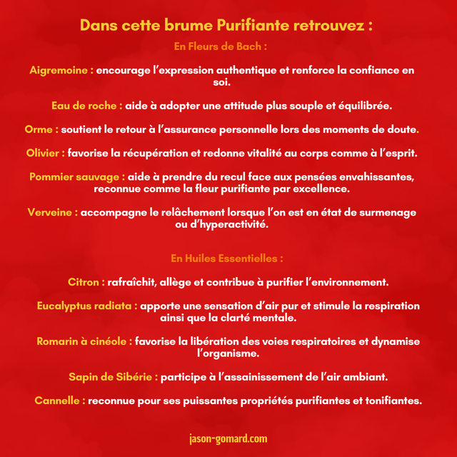 Brume Purifiante ~ 100ml