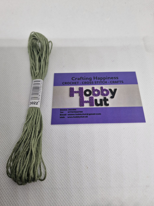 Embroidery Thread - 3022