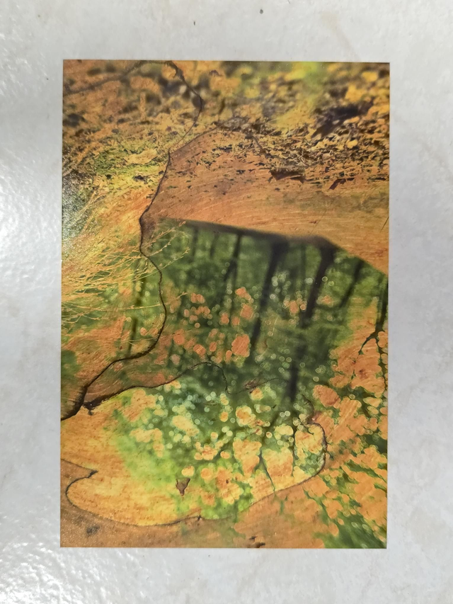 Carte postale