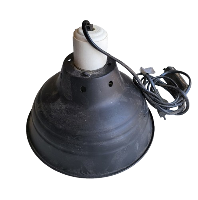 Dôme 21 cm