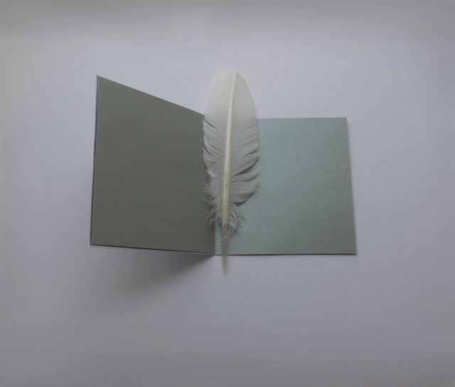 Patin à glace en hiver