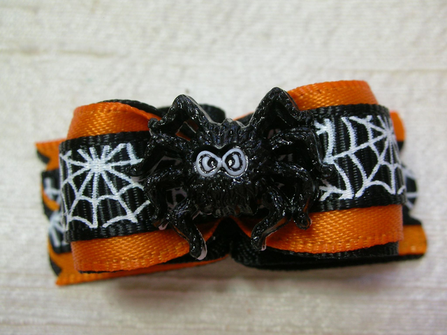 Noeud pour chien simple coque-halloween-araignée 