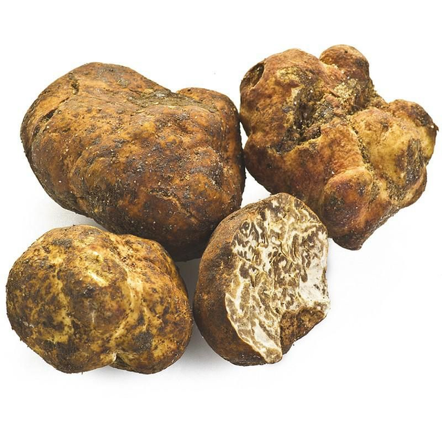 Tartufo Bianchetto