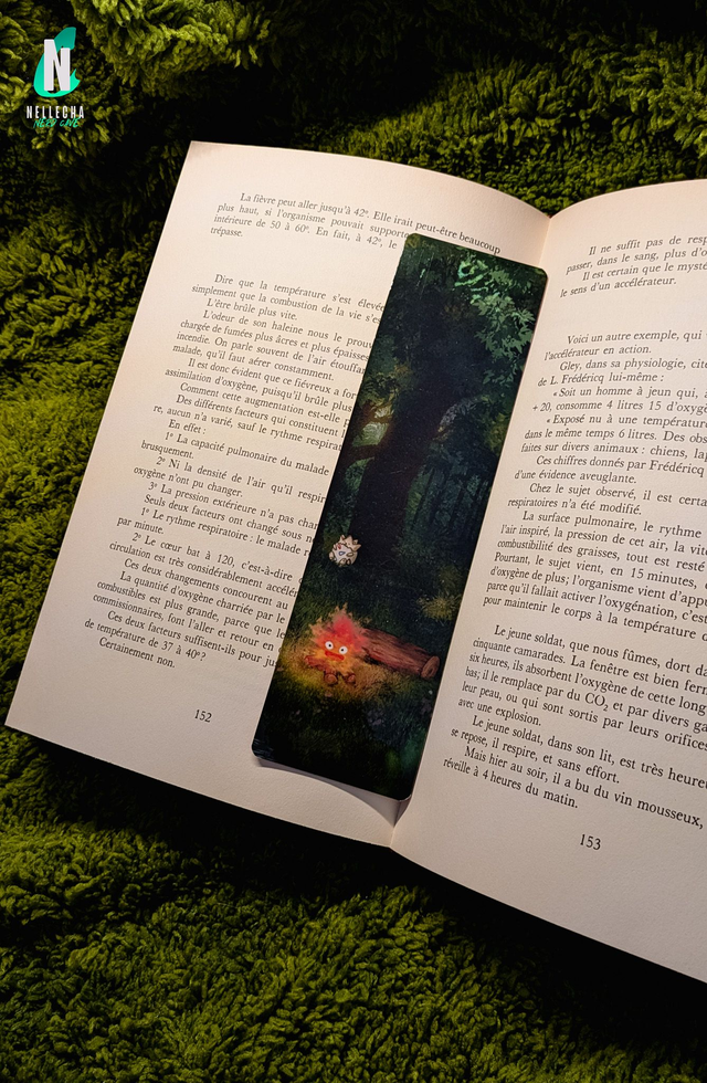 ​Calcifer et Togepi en forêt - Marque-page