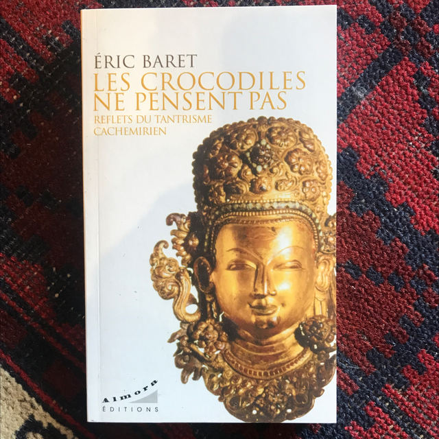  BARET Éric - Les crocodiles ne pensent pas