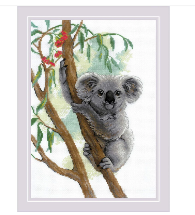 Süßer Koala