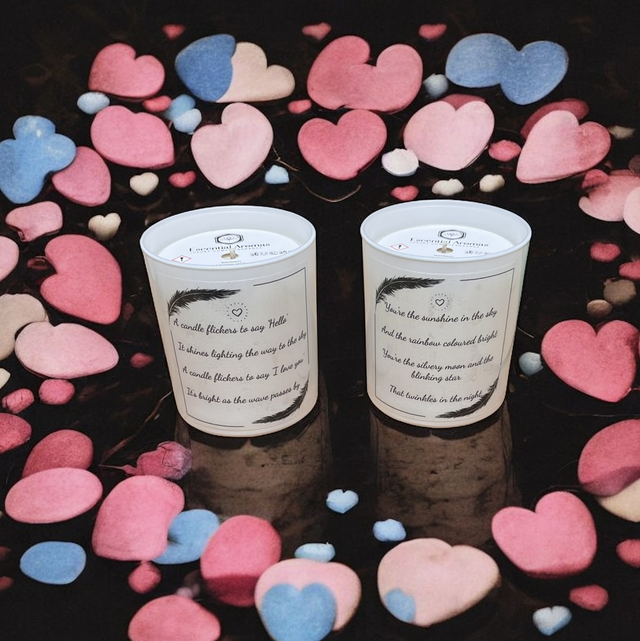 Arlo's Adventure  "A Candle Flickers"  230g