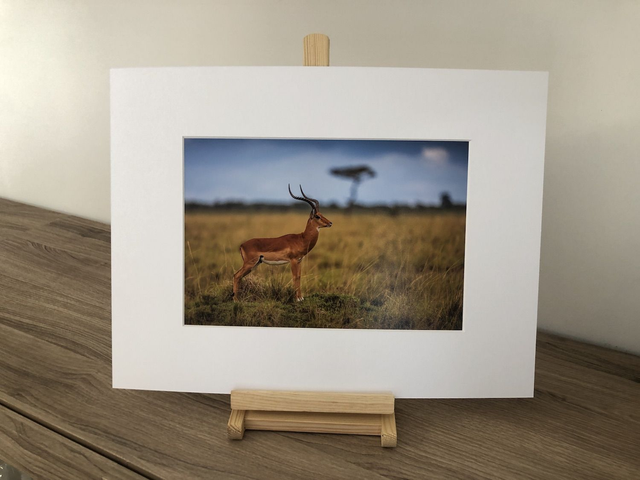 Tirage illimité Impala avec passe-partout