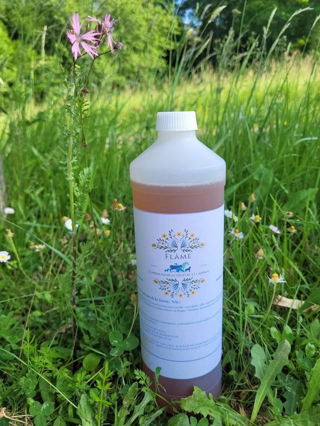 Cardio soutien Animaux de la ferme