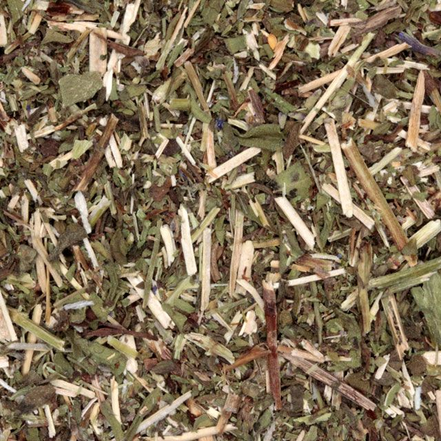 Hysop (hyssop) (Hyssopus officinalis) - BIO