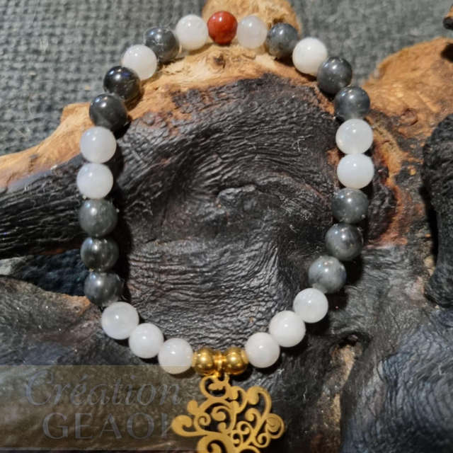 Pierre de lune noire, lune blanche et jaspe rouge