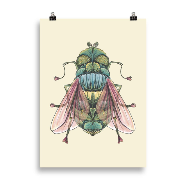 Poster - Floral Bugs - Housefly