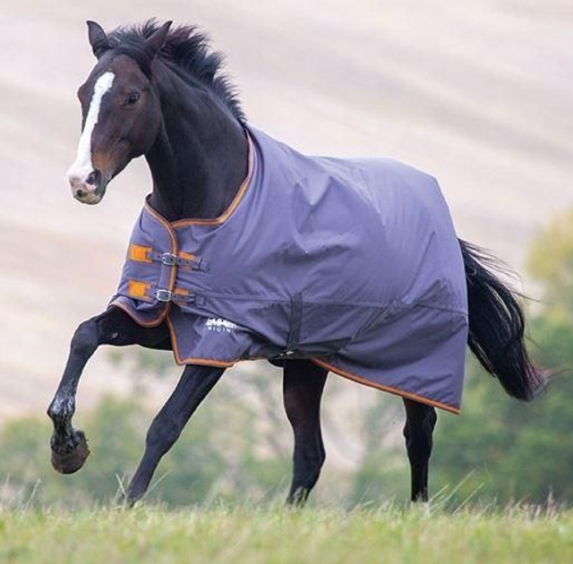 Shires Tempest Original 200 Turnout Rug