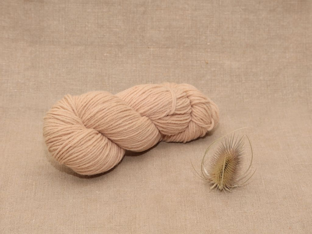 Mérinos DK - Echeveau 100g Avocado