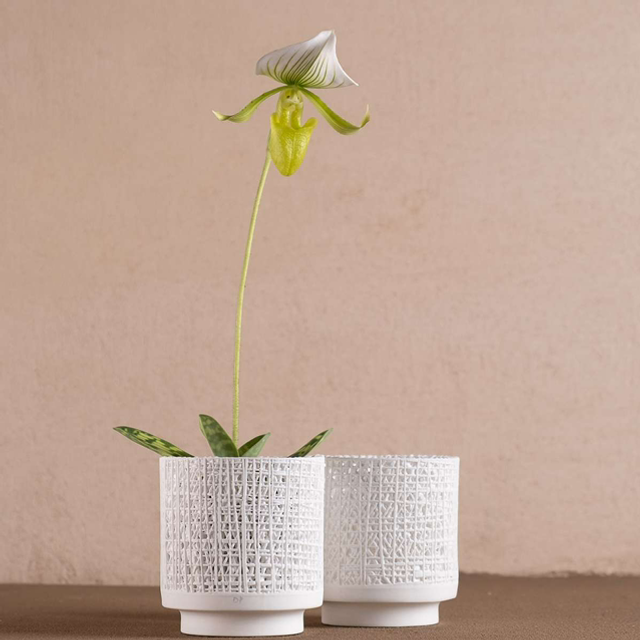 Klatt Objects GAZE Votiv