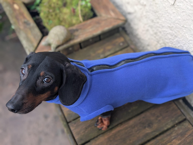 Back zipper dog fleece
