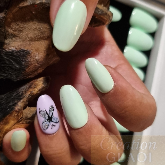 Green butterfly little rond M