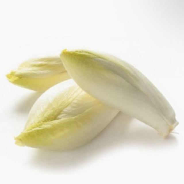 Endive