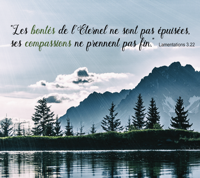 Toile "Les bontés de l'Eternel"