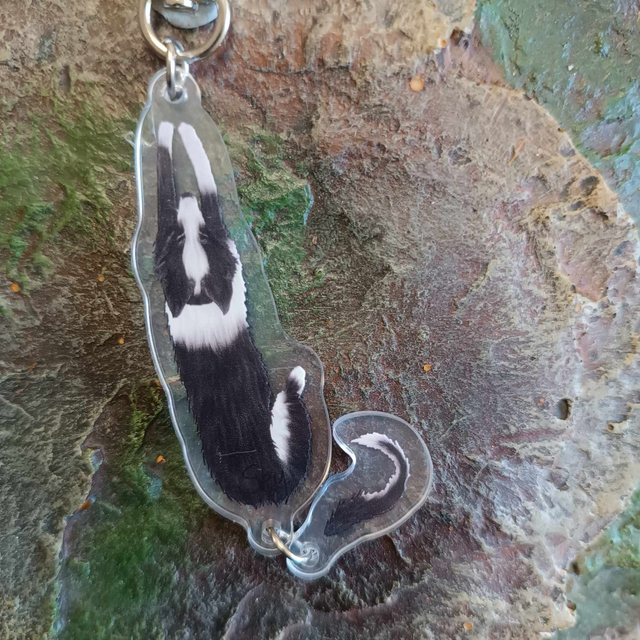 Porte clé border collie