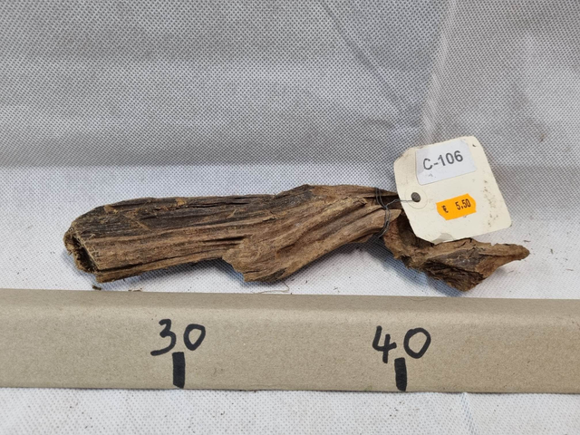 Racine Mangrove C-106