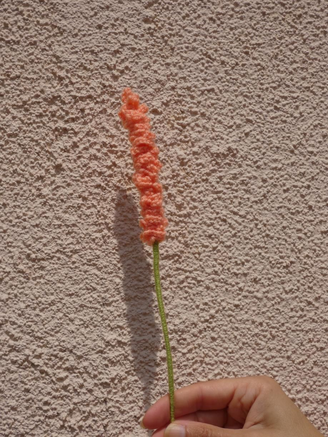 Lavande abricot clair 