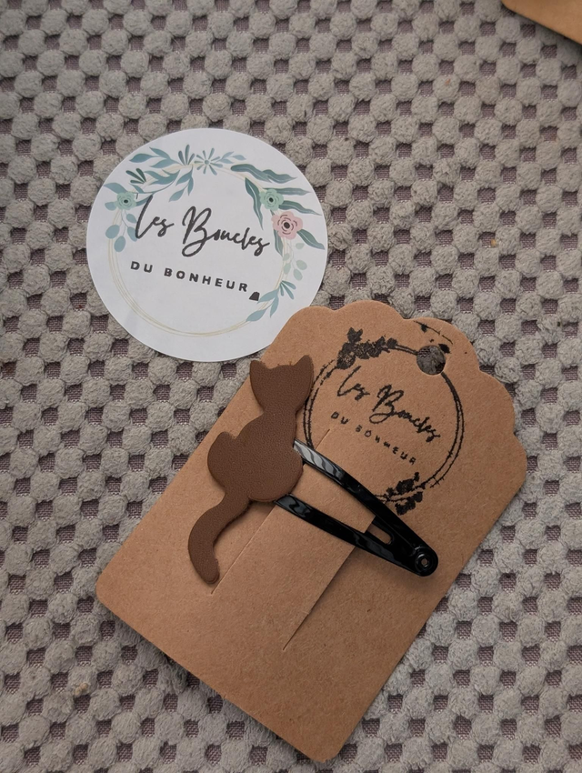 Barrette b044