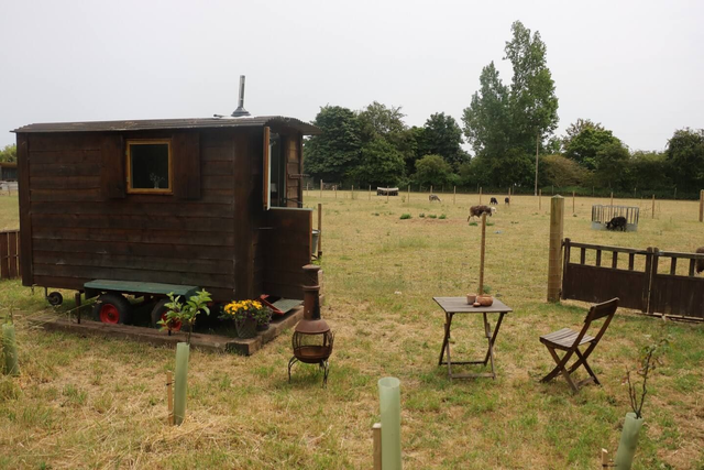 Board only stay at our shepherds hut