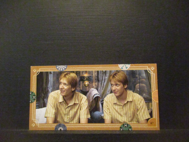 Harry Potter Original Trading Card #87